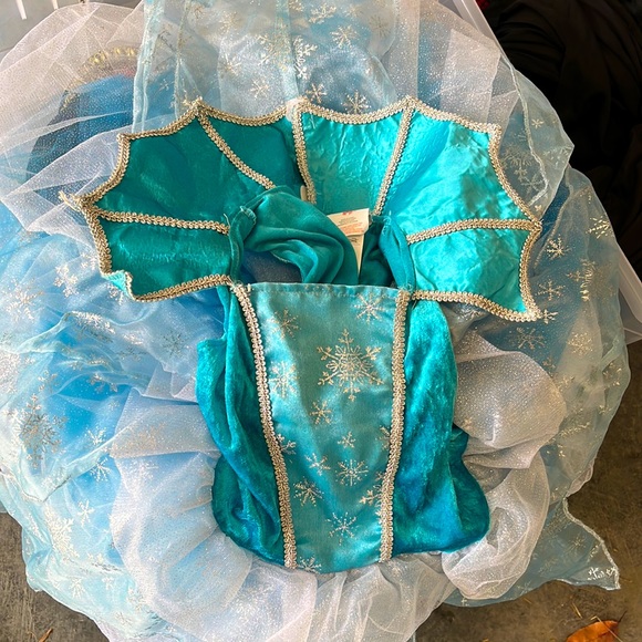 Elsa costume - Picture 1 of 7